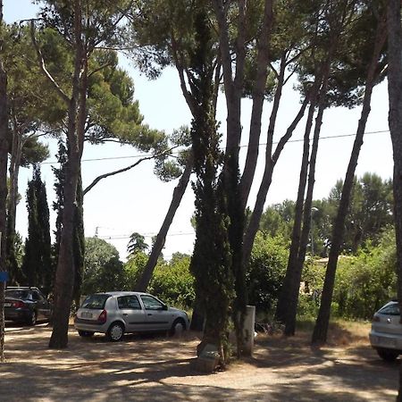 Rvapartaments Treumal Park Platja d'Aro Exterior photo