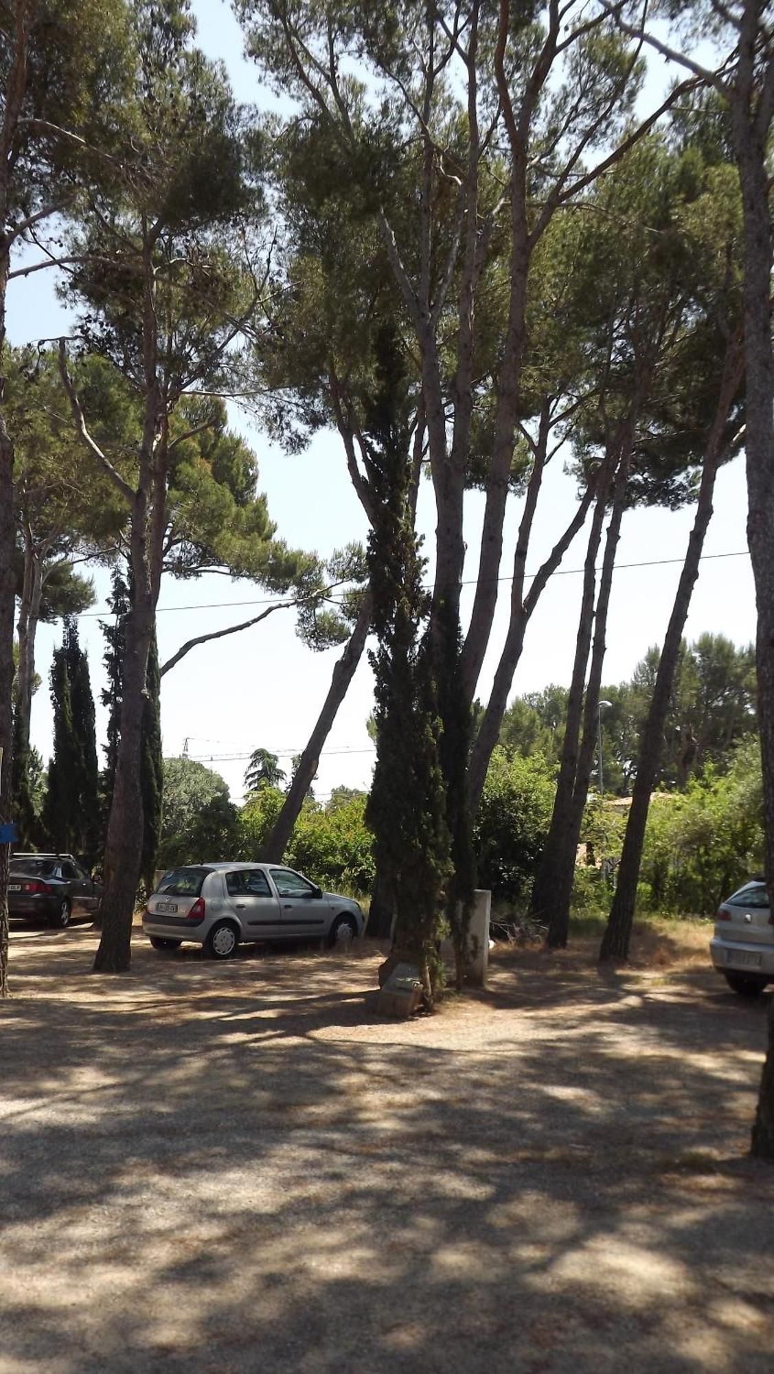 Rvapartaments Treumal Park Platja d'Aro Exterior photo